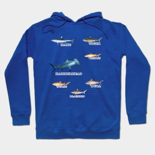 Favorite Florida Keys Sharks Hoodie